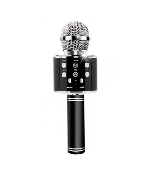 micro mic and speaker