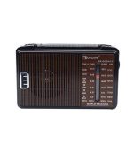 Golon RX 608ACW Radio